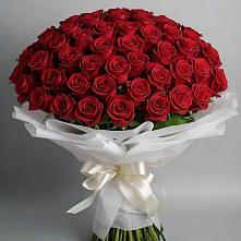 Букет 101 Красная роза Блэк Мэджик в Кендже-Кулаке