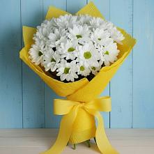 Букет цветов из:  Хризантемы #REPLACE_PRED# Кендже-Кулаке