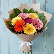 Букет цветов из:  Герберы в Кендже-Кулаке