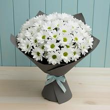 Букет цветов из:  Хризантемы #REPLACE_PRED# Кендже-Кулаке