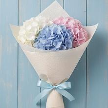 Букет цветов из:  Гортензия в Кендже-Кулаке