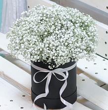 Цветочная композиция из Гипсофила в шляпной коробке в Кендже-Кулаке