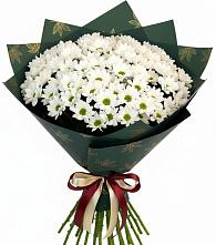 Букет цветов из:  Хризантемы в Кендже-Кулаке