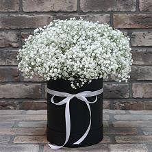 Цветочная композиция из Гипсофила в шляпной коробке в Кендже-Кулаке