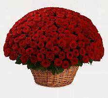 Премиум букет из: Розы в Кендже-Кулаке