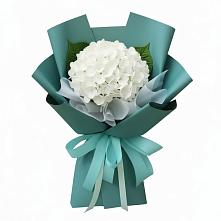 Букет цветов из:  Гортензия в Кендже-Кулаке